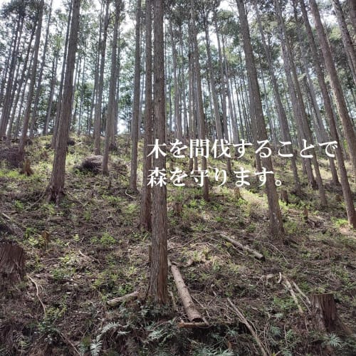 Japanese-made Genroku Cedar Children's Chopsticks (Chopsticks In a Pouch) 18cm X 10 Pairs