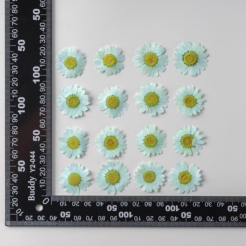 12 PCS/Set Pressed Dried Flowers for Scrapbooks Making Natural Flower For Epoxy Resin Pendant Necklace Jewelry Making Craft