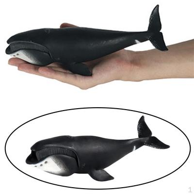 Action Figures Hand-Painted Creature Shark Sea Life Marine Toys Decorative Gifts for Kids