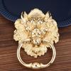 Lion Head Pull Door Handles Gold/Silver Zinc Alloy Front Door Knocker Metal Door Pulls Handles Decor Hardware