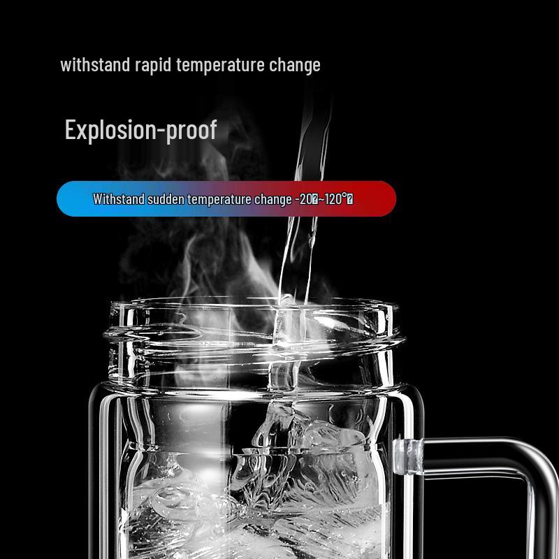 Double-Layer Glass Cup with Handle and Lid for Tea and Water