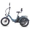 Electric Freight Bike Fafrees F20 Mate 750W Peak Motor 20" Fat Tire 48V 23.45AH Hydraulic Disc Brakes Max Load 180Kg LCD Display