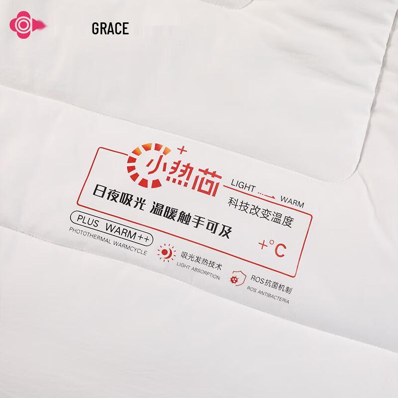 Grace Warm Winter Polyester Fiber Quilt