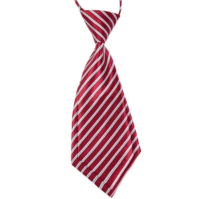 Cravată tematică pentru copii cu material satinat pentru școală și ținută formală