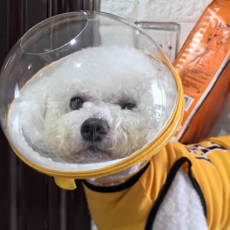 Anti-Leck- und Beiß-Elizabeth-Kragen für kleine Hunde - Vertiefte Kopfbedeckung Maulkorb zum Spazierengehen