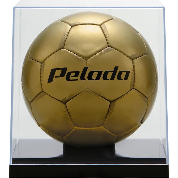 Molten clear case for 5 balls 22cm or CC50N No. (diameter less)