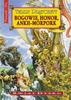 Discworld Vol. 21 Gods, Honor, Ankh-Morpork