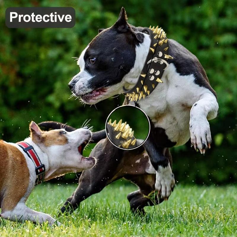 Vargtand Spik Husdjurshalsband Färg Nitar Hund Medelstor till Stor Hundar Handhållande Rep Järnkedja Justerbart Anti-bit Halsband