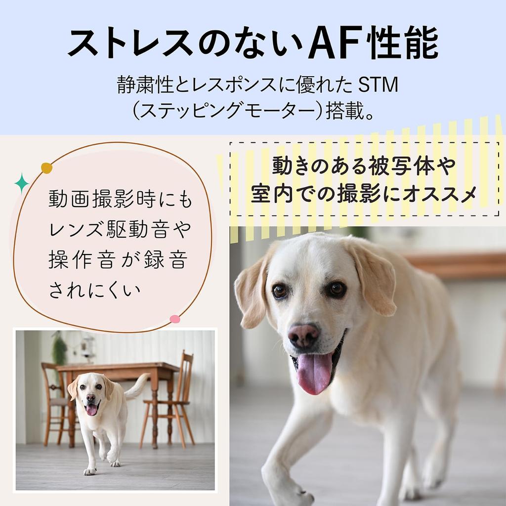 Nikon NIKKOR Z Nikon spiegelloses Wechselobjektiv 28-75mm f/2.8