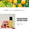 LADOR Perfume Hair Oil Lapita 80ml - Korean Cosmetics, Leave-in Treatment, Hair Care, Damage Care, Hair Essence, Glossy Hair, Fragrance,