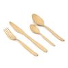 Mirror Finish Stainless Steel Cutlery Set with Portable Box, 24-Piece Set: Gold PVD Coated Include Knife/Fork/Spoon/Teaspoon