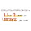 Tomoe Abacus Abacus 100 Abacus (ABA100C) Children's 100-bead [abacus]