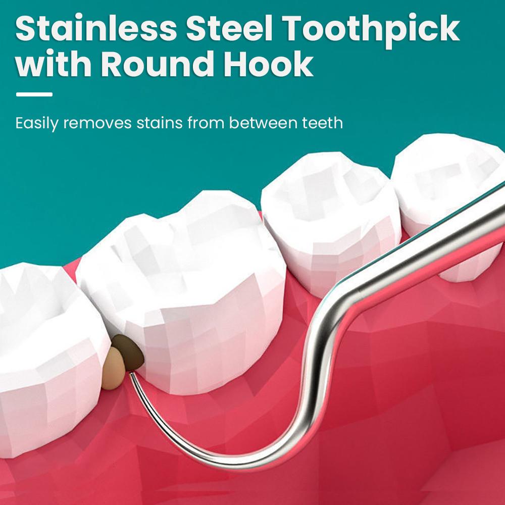 Toothpick Tool Stainless Steel Toothpick Needle Stick Portable Dental Cleaning Tool Set 304 Metal