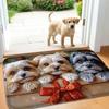 Cute Cat Dog Print Rectangle Carpet Pet Lover Welcome Home Decor Mat Non Slip Floor Rug Entryway Doormat Animal Pattern