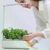Hydrophonic Planter Adjustable Dc5v Soilless Smart Planting Machine Indoor Garden Hydroponic Growing System Plant Growth Lights