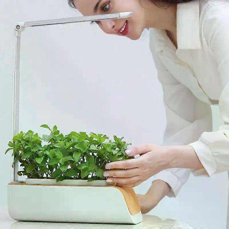 Hydrophonic Planter Adjustable Dc5v Soilless Smart Planting Machine Indoor Garden Hydroponic Growing System Plant Growth Lights