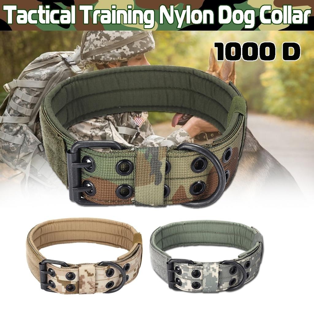metal shock collar