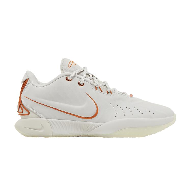 Nike LeBron 21 Akoya 41