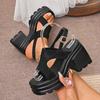 Fashion Women's Gothic Chunky Heels Sandals Summer 2025 Fashion Buckle Strap Platform Sandals Woman Thick Bottom High Heels Roman Shoes