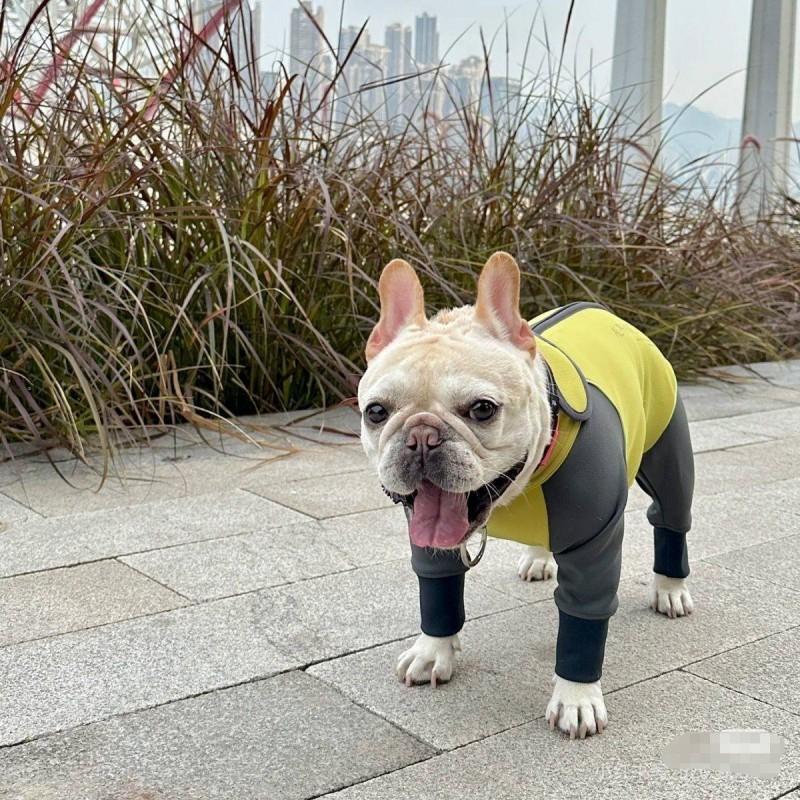 Warm Fleece-Lined Four-Legged Dog Sweater Small To Medium Breeds Winter Coat Pet Clothing