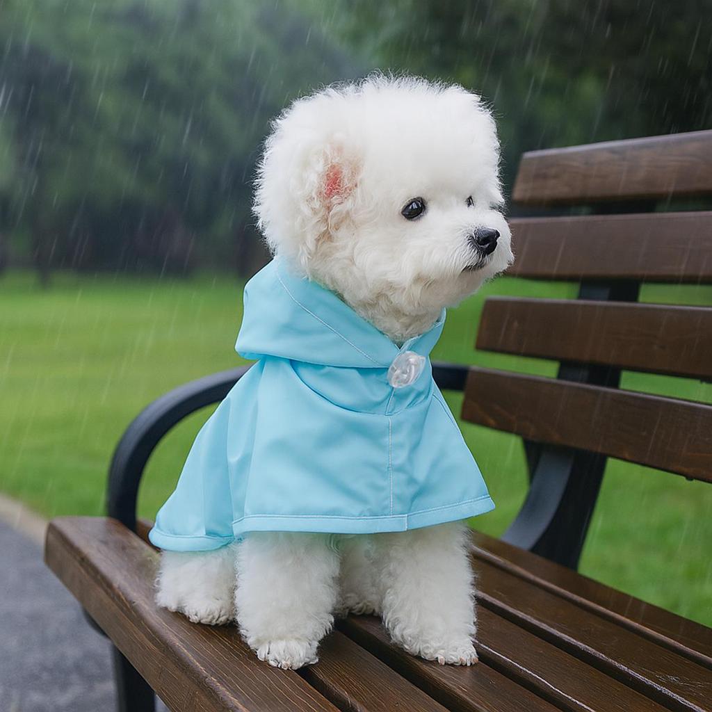 Spring/Summer Transparent Waterproof Raincoat for Small to Medium Dogs, Rainbow Design - Ideal for Teddy & Bichon Frise