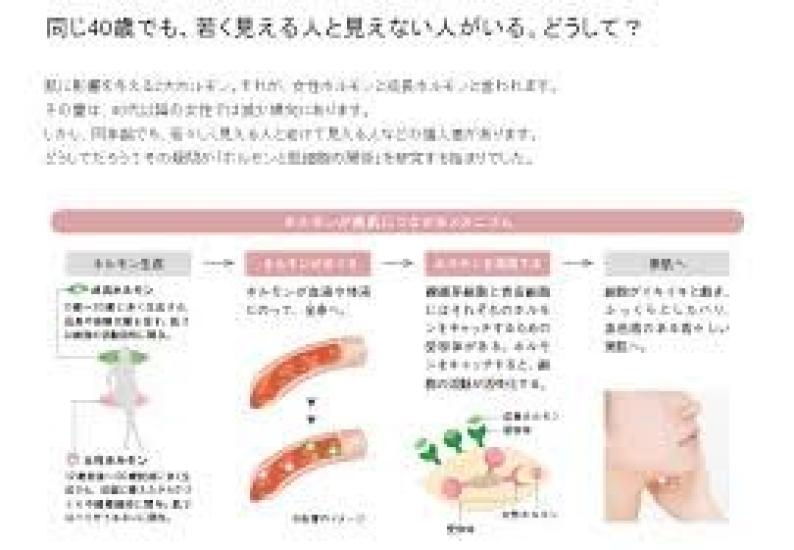 POLA Allu Milk 80ml Cs