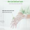 Blue Moon Aloe Foam Antibacterial Hand Soap Set