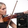 1 Set Zinc Zinc Alloy Violin Strings Nylon Nylon Violin Core A747 Violin String  Violin Enthusiasts