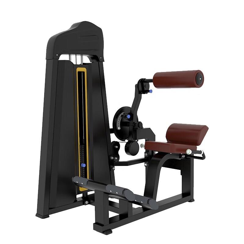 Ganas Ab/Back Combo Trainer