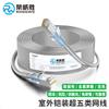 Rongweisheng Cat5e Armored Shielded Network Cable