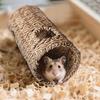 Small Animal Tunnel Hamster Cage Tunnels Chew-resistant Interactive Safe Exercise Stimulation Cage Enrichment For Small Pet