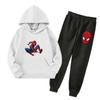 Kids Hoodie and Sweatpants Set Graphic Print with Pockets for Boys and Girls
