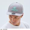 RS Taichi LP 9FIFTY Gray/Mint NEC015
