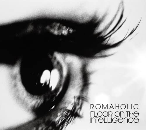 

CD FLOOR ON THE INTELLIGENCE - ROMAHOLIC XNNW11003 Japan Japanese Pop/Rock Used