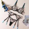 Lace Embroidery Lingerie: Sexy Transparent Push-up Bra & Three-Piece Set