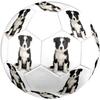 Cute Puppy Indoor Size 5 Soccer Ball Colorful Machine Stitched PVC Competition Ready Durable High-Bounce