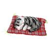Super Cute Simulation Sounding Sleeping Kittens Cats Plush Toys Doll Christmas Gift Black Gray