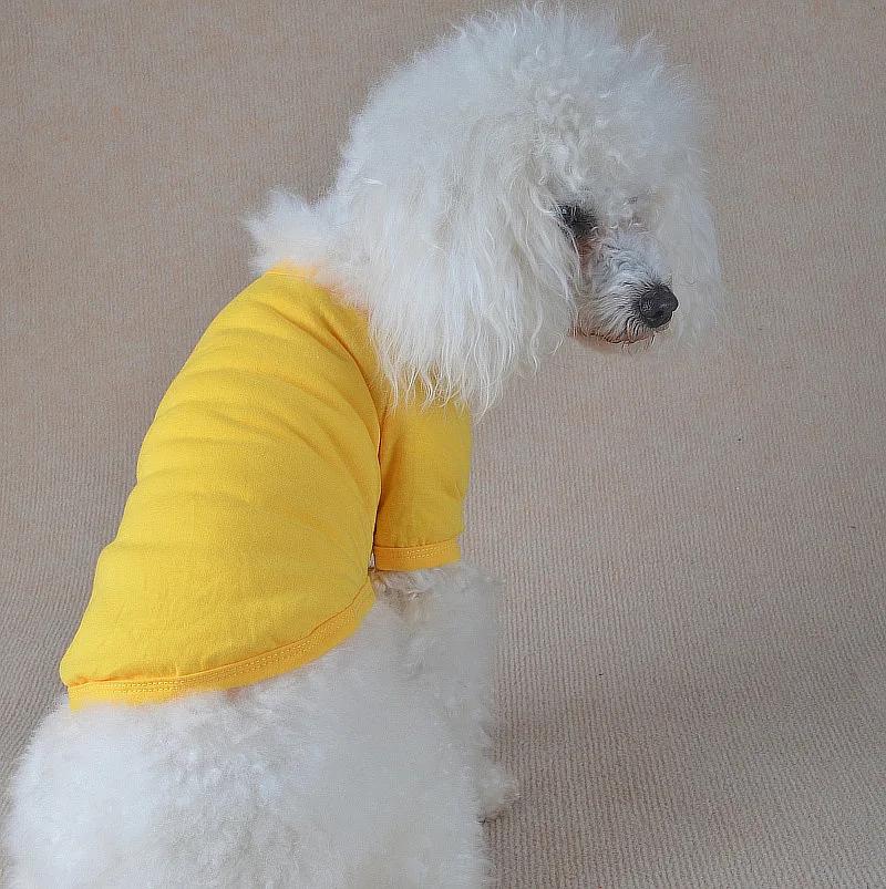 T-shirt d'été confortable pour petit chien et chat, vêtement de costume, accessoire durable pour animaux de compagnie M