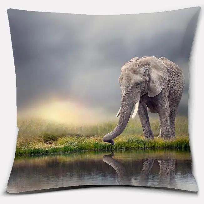 

Мир Фламинго серии животных Подушка украшение для дома и офиса спальня диван автомобиль Чехлы для подушек 40x40cm