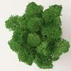 Handmade Artificial Plants Preserved Moss Simulation Fake Plant Garden Decor Landscape Wall Decor Home Decoration Accessories Gifts
