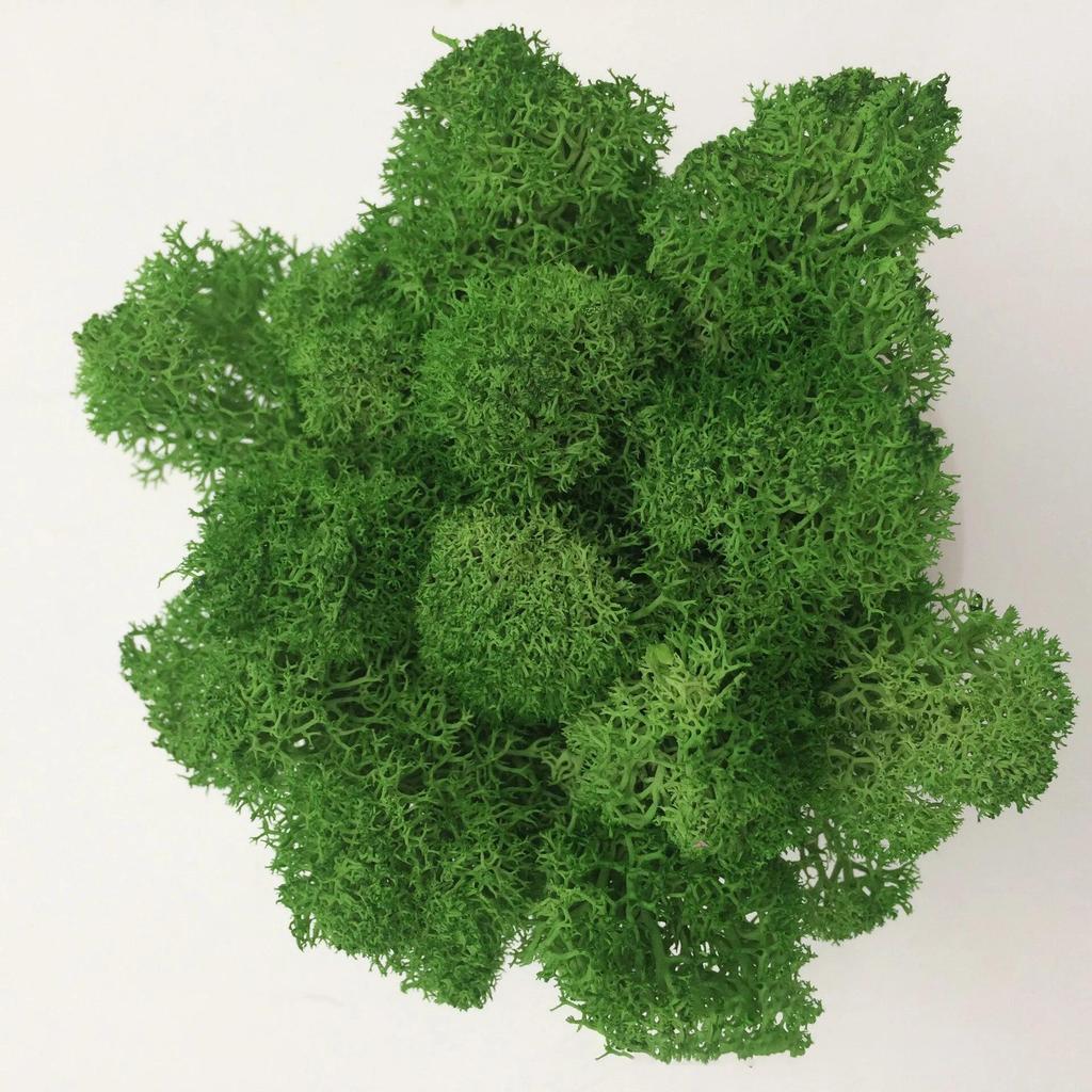 Handmade Artificial Plants Preserved Moss Simulation Fake Plant Garden Decor Landscape Wall Decor Home Decoration Accessories Gifts