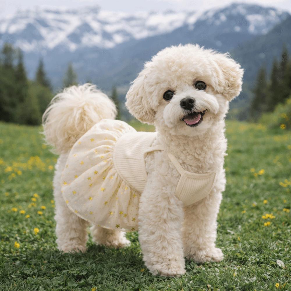 Breathable Puppy Princess Dress Star Mesh Pet Strap Puff Skirt Dog Summer Clothes  Spring Summer