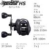Abu Garcia Beast LP 300 High Gear Left Hand Baitcasting Reel Low Profile for Bass Saltwater Big Game Fishing
