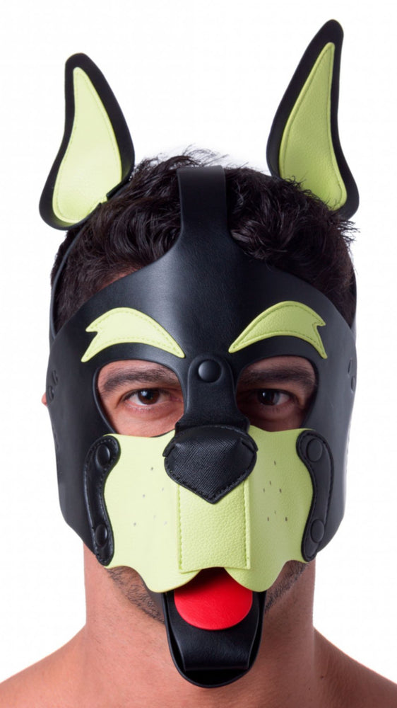 Puppy Mask 665 Yellow/Green - 665 - Puppy Play, Tail Dildos