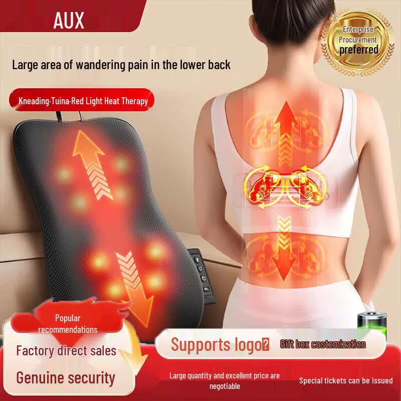 Aux Waist & Back Massage Cushion with Heat and 2000mAh Battery CN Plug (adapter Included)