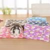 Winter Warm Small Animal Bed Mat, Soft Plush Cushion for Hamster Guinea Pig Rabbit Chinchilla