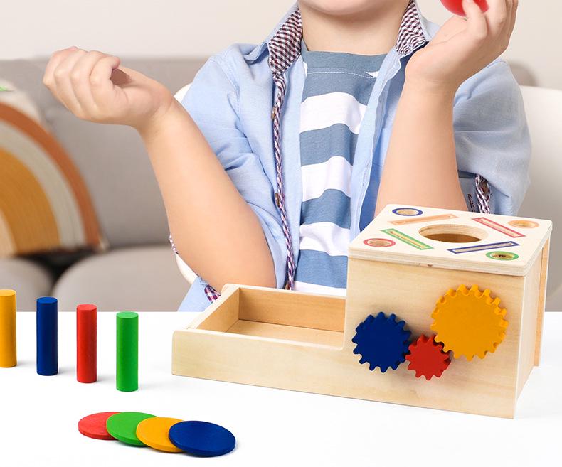 Montessori Color & Shape Recognition Building Blocks for Toddlers