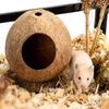 Hamsterhus Bidbestandigt Naturligt Kokosskal Marsvin Hamster Skjulested Hus Legetøj Kæledyrsartikler