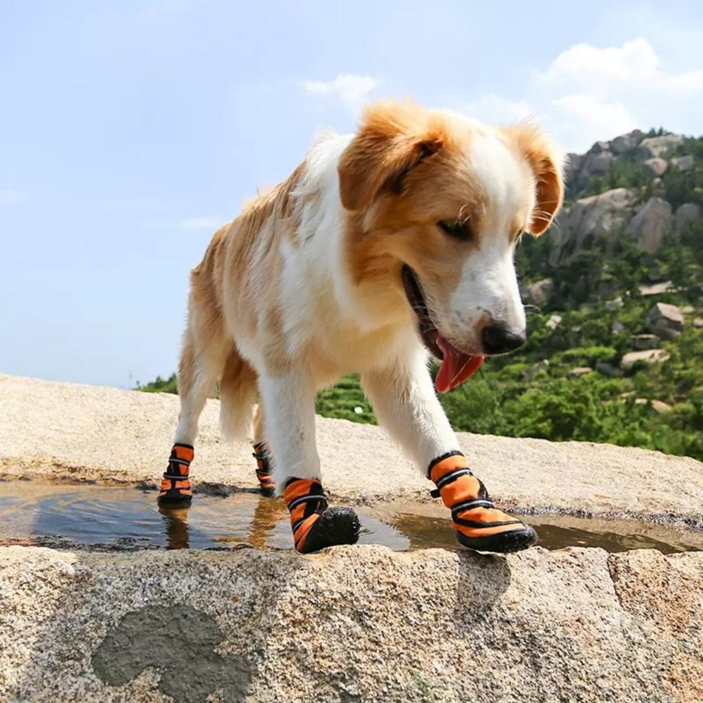 Köpek Ayakkabıları Evcil Hayvan Yağmur Botları Köpek Botları, Kaymayan Yumuşak Tabanlı Düşmeye Karşı Dayanıklı Su Geçirmez Ayakkabılar