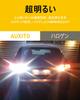 AUXITO T16 LED Tail Up Super 4x 42 Hours Lifespan of Lights/Back Lamps, Bright, Brighter, LEDs, 12V, Non-Polar, White, 24-Month Warranty, 50,000+ (Set